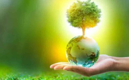 बिजली का नया युग: रिन्यूएबल एनर्जी बनी सस्ती