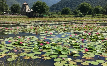 गरुड़ के कमल तालाब में मत्स्य विभाग के चौकीदार की दुखद डूबने की घटना