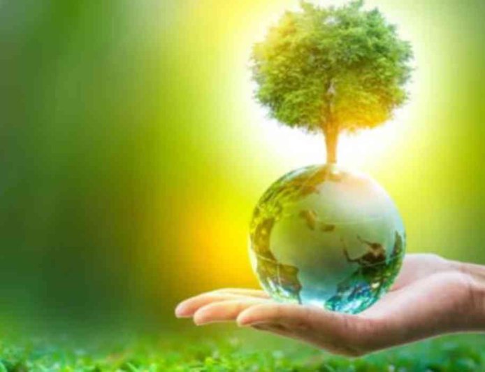 बिजली का नया युग: रिन्यूएबल एनर्जी बनी सस्ती