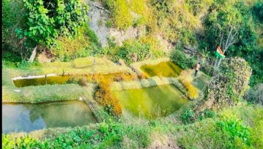 मत्स्य पालन गतिविधि से चंपावत की महिलाएँ सामाजिक व आर्थिक रूप से हुई सशक्त