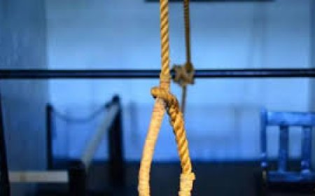 हत्या के बाद लूडो गेम की लत: हल्द्वानी में 21 वर्षीय छात्रा की आत्महत्या से जुड़ी घटना