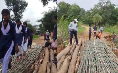 मांझी के संकल्प से बना गांव का ब्रिज, आदिवासियों ने जुगाड़ से बनाया देसी पुल