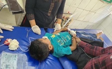 खैरना में तेज रफ्तार बाइक से हुआ दर्दनाक हादसा, महिला और बच्चा घायल