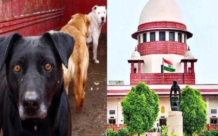 सुप्रीम कोर्ट का आज फैसला: आवारा कुत्तों के संरक्षण और मानव सुरक्षा के बीच संतुलन