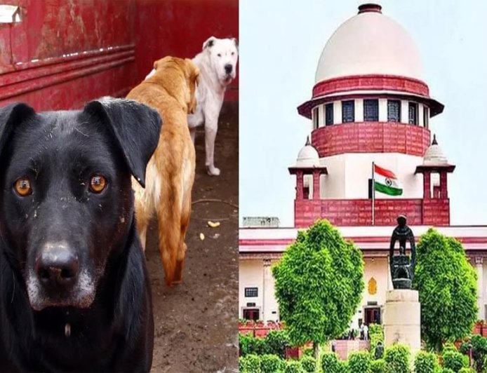 सुप्रीम कोर्ट का आज फैसला: आवारा कुत्तों के संरक्षण और मानव सुरक्षा के बीच संतुलन