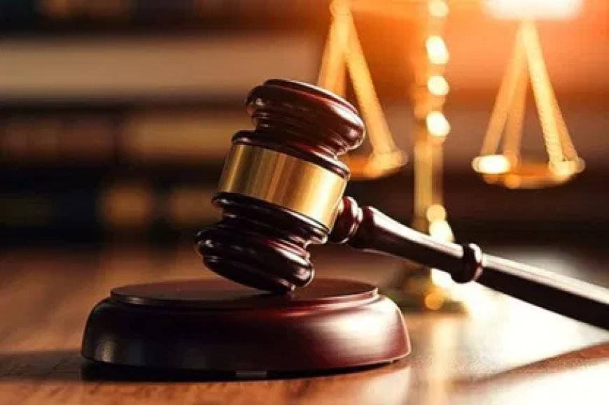 हाईकोर्ट ने वैज्ञानिक अधिकारी की नियुक्ति के खिलाफ याचिका की खारिज, कहा- गेस्ट लेक्चरर रहते हुए PHD करना नियमों के खिलाफ नहीं