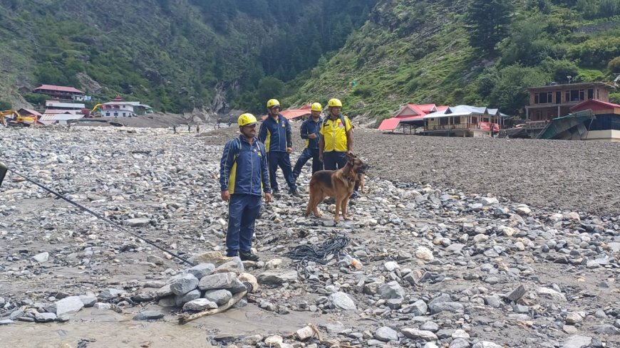 धराली आपदा: जीपीआर रडार तलाशेगा मलबे में दबी जिंदगियां, 480 फंसे लोग और निकाले