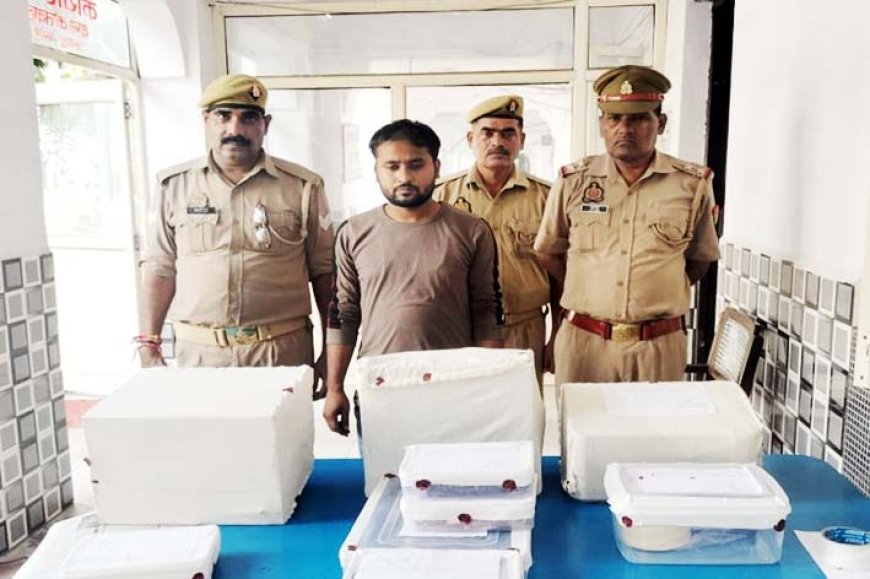 कोतवाली पुलिस के हत्थे चढ़ा आरोपी ; एसएसपी से सीएमओ तक की 100 रुपये में लगाता था मोहर