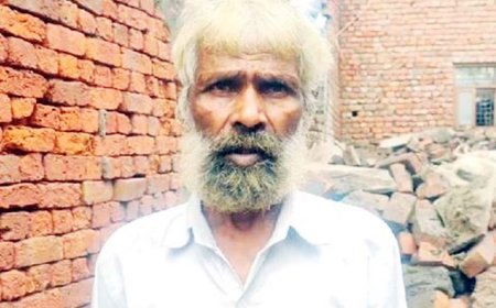 हरियाणा में तेज बारिश के कारण दो मंजिला इमारत गिरी, 16 बकरियों की जान गई