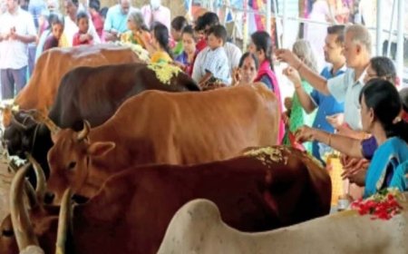 ऐतिहासिक जीएसटी सुधारों से सहकारी क्षेत्र को मिलेगी नई ताकत