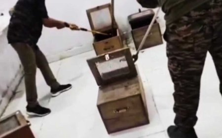 हरिद्वार में अवैध सर्प संग्रहण केंद्र का भंडाफोड़, 70 कोबरा और 16 रसैल वाइपर की बरामदगी