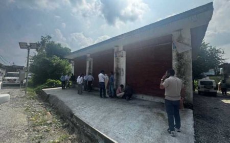 हर्बटपुर और विकासनगर में एमडीडीए की सख्त कार्रवाई, अवैध निर्माणों पर लगी मुहर