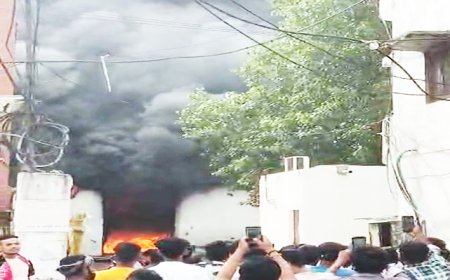 रायपुर की थिनर-पेंट फैक्ट्री में भीषण आग, क्षतिकर्ता हुआ बड़ा हिस्सा