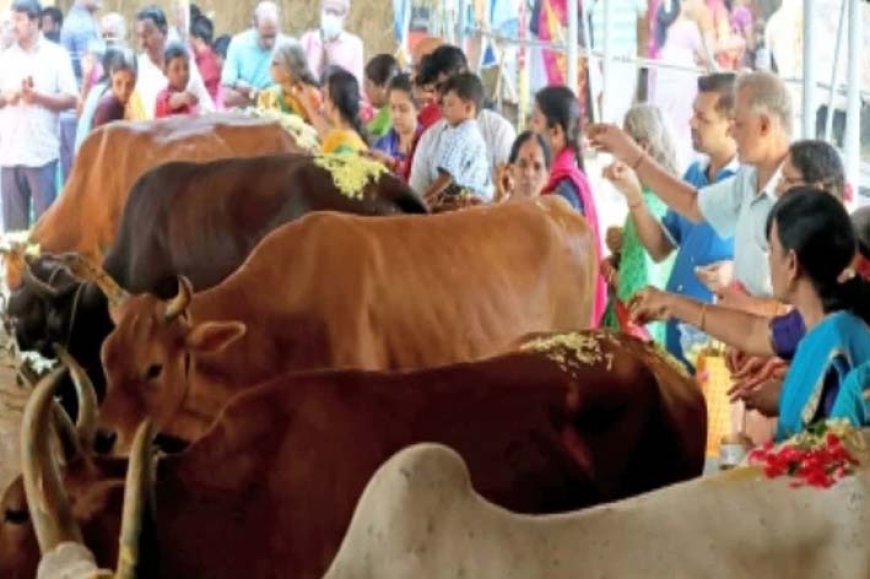 ऐतिहासिक जीएसटी सुधारों से सहकारी क्षेत्र को मिलेगी नई ताकत