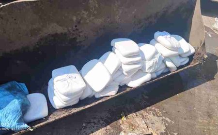 त्योहारी सीजन में मिलावटखोरों पर धामी सरकार की बड़ी कार्रवाई, 180 किलो पनीर नष्ट