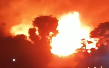 बायो डीजल प्लांट में लगी भीषण आग, दूर तक दिखाई दी लपटें, मचा हड़कंप