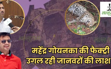 EXCLUSIVE: तेंदुआ हत्याकांड में महेंद्र गोयनका को भेजा जाएगा नोटिस, फैक्ट्री के नाम पर 250 एकड़ जमीन में हो रही थी खेती, अब जमीन उगल रही जानवरों की लाशें! कारोबारी के आरोप पर पूर्व मंत्री संजय पाठक खामोश