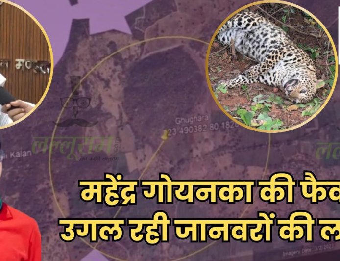 तेंदुआ हत्याकांड: महेंद्र गोयनका को नोटिस भेजने की तैयारी, 250 एकड़ जमीन पर फैक्ट्री के नाम पर खेती के दौरान निकले जानवरों के शव