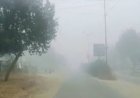 Rajasthan Weather Update: राजस्थान में घने कोहरे का कहर, इन 13 जिलों में IMD ने जारी किया येलो अलर्ट