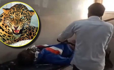 आदमखोर का आतंक: तेंदुए ने किसान पर किया हमला, ग्रामीणों के शोर से बची जान