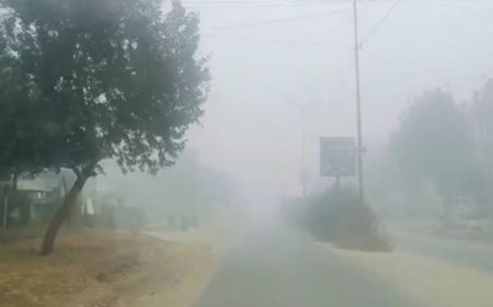 Rajasthan Weather Update: राजस्थान में घने कोहरे का कहर, इन 13 जिलों में IMD ने जारी किया येलो अलर्ट