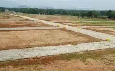 दून में 27 भूमाफियाओं पर केस, NRI महिला की 6 बीघा जमीन बेच कर किया फर्जी प्लॉटिंग