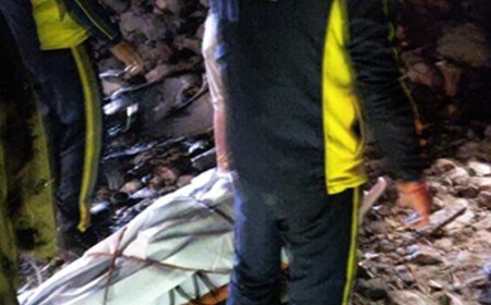 बारात की कार खाई में गिरी, पुष्कर भैसोड़ा समेत 3 शिक्षकों की मौत