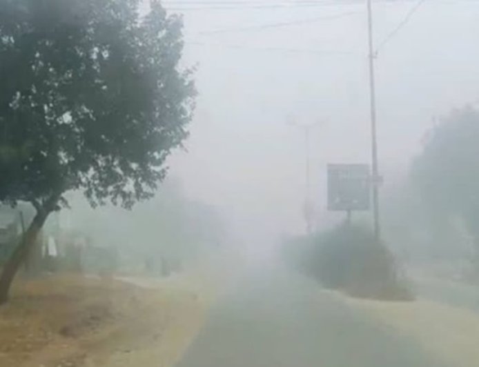 राजस्थान मौसम अपडेट: घने कोहरे के चलते 13 जिलों में IMD द्वारा येलो अलर्ट जारी