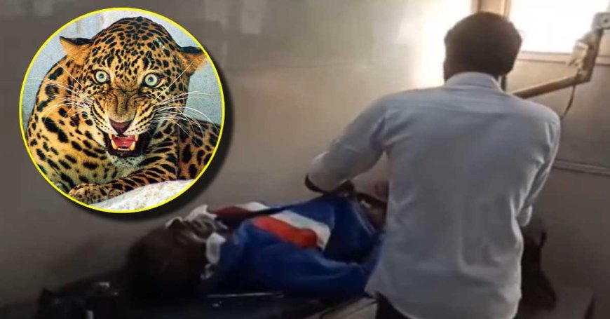 आदमखोर का आतंक: तेंदुए ने किसान पर किया हमला, ग्रामीणों के शोर से बची जान