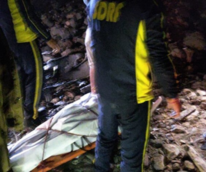 बारात की कार खाई में गिरी, पुष्कर भैसोड़ा समेत 3 शिक्षकों की मौत