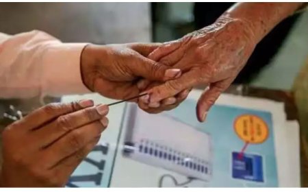 महाराष्ट्र में स्थानीय निकाय चुनाव का पहला चरण शुरू, 264 नगर परिषदों में मतदान, 1 करोड़ मतदाता करेंगे फैसला