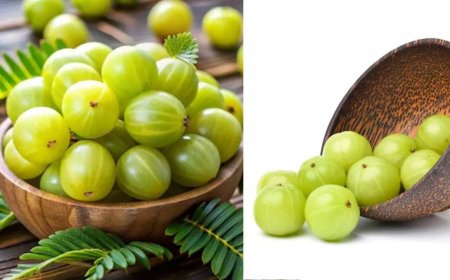 सर्दियों में स्वास्थ्य का खजाना, जानें एक्सपर्ट से आंवला खाने का सही तरीका, फायदे और पोषक तत्व