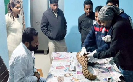 एंटी पोचिंग टीम ने बड़ी कार्रवाई करते हुए, जिंदा पैंगोलिन के साथ ओडिशा के दो तस्कर गिरफ्तार