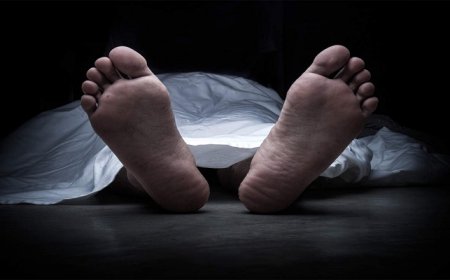 बागेश्वर: चौगांवछीना में पूर्व सैनिक का संदिग्ध परिस्थितियों में निधन