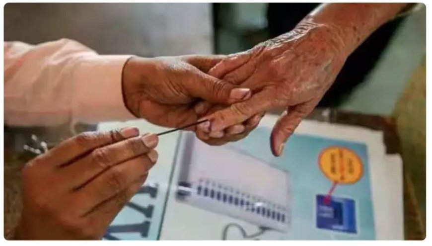 महाराष्ट्र में स्थानीय निकाय चुनाव का पहला चरण शुरू, 264 नगर परिषदों में मतदान, 1 करोड़ मतदाता करेंगे फैसला