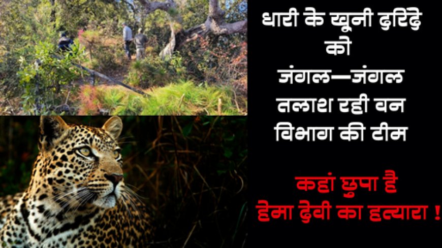 खूंखार तेंदुए की तलाश तेज, वन विभाग ने झोंकी पूरी ताकत