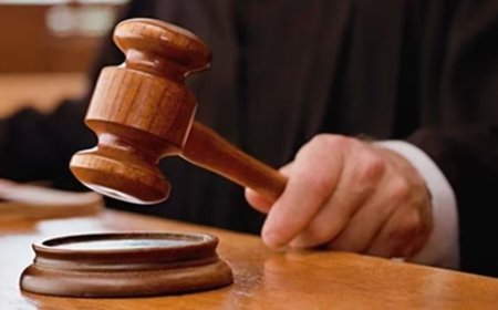 CG News : तीन गांजा तस्करों को 20-20 साल की कठोर सजा, दो-दो लाख रुपए जुर्माना भी लगाया