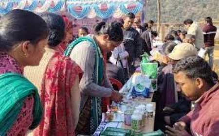 जन-जन की सरकार, जन-जन के द्वार” अभियान: 328 कैम्प, 2.54 लाख से अधिक नागरिकों की सहभागिता