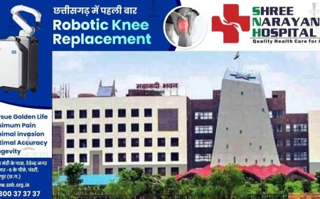 IFS Transfer News : राज्य सरकार ने 4 IFS अधिकारियों का किया तबादला, देखिये आदेश की कॉपी…