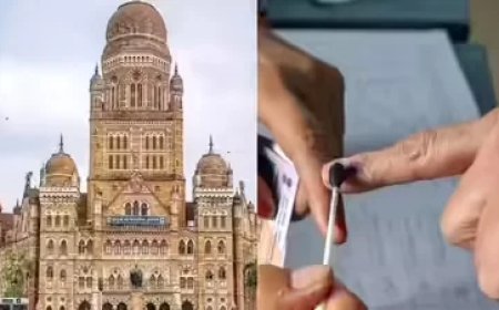 नगर निगम चुनाव की वोटिंग खत्म, EVM में कैद उम्मीदवारों की किस्मत का फैसला होगा कल