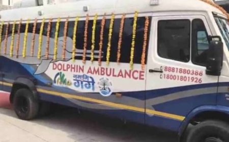 गंगा में डॉल्फिन के लिए शुरू हुई ‘डॉल्फिन एंबुलेंस’ सेवा