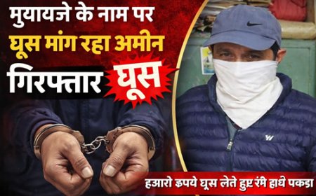 विजिलेंस का बड़ा एक्शन: मुआवजे के नाम पर घूस मांग रहा अमीन गिरफ्तार