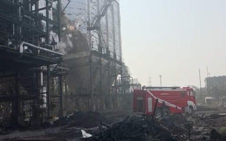 बलौदाबाजार में औद्योगिक हादसे पर सख्त कार्रवाई : रियल इस्पात एंड एनर्जी का किल्न-01 सील, संचालन-मेंटेनेंस पर प्रतिबंध, 6 मजदूरों की हुई थी मौत