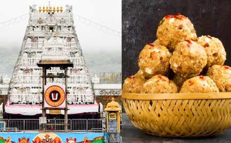 तिरुपति प्रसाद विवाद: लड्डू में नहीं था गोमांस वाला घी, नकली सामान को लेकर CBI की चार्जशीट में बड़ा खुलासा