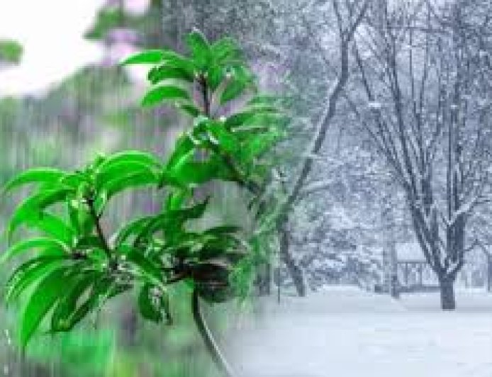 उत्तर भारत में मौसम के मिजाज में आएगा बड़ा बदलाव