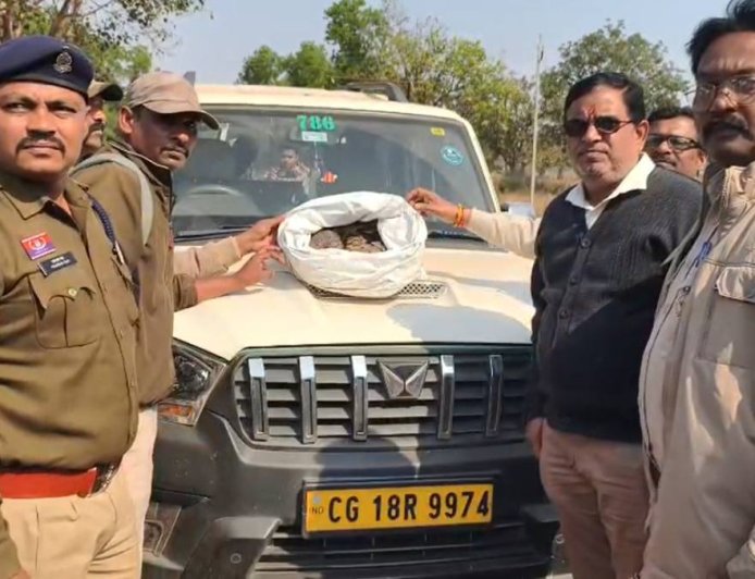 कांगेर घाटी में पैंगोलिन तस्करी का भंडाफोड़: तस्कर भागने में हुए सफल, वन विभाग ने किया कानूनी कार्रवाई