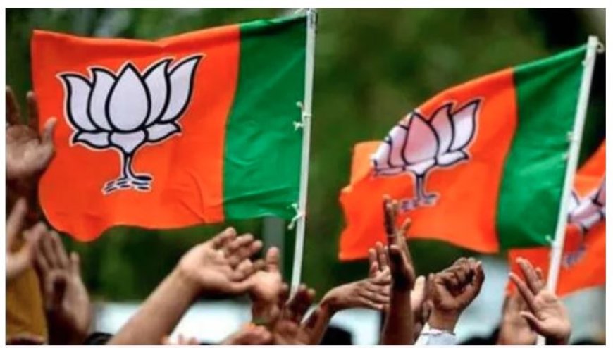 खरमास के बाद बदलेगी दिल्ली भाजपा की कमान? प्रदेश अध्यक्ष को लेकर तेज हुई हलचल