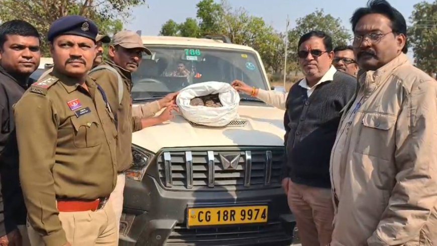 अवैध पैंगोलिन तस्करी का भंडाफोड़: पुलिस को देख स्कॉर्पियो छोड़ फरार हुए तस्कर, वन्यजीव को कब्जे में लेकर कानूनी कार्रवाई में जुटा वन अमला