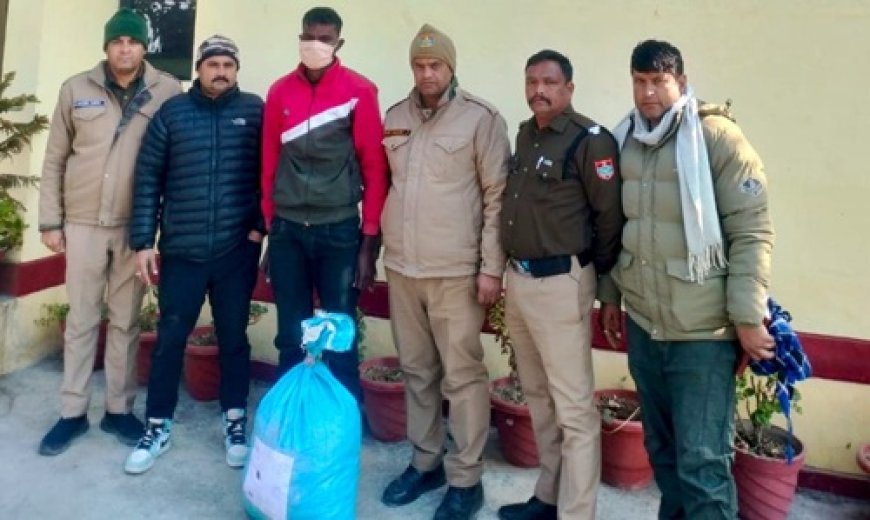 अल्मोड़ा: सल्ट में 22 किलो गांजे के साथ मुरादाबाद के दो तस्कर गिरफ्तार