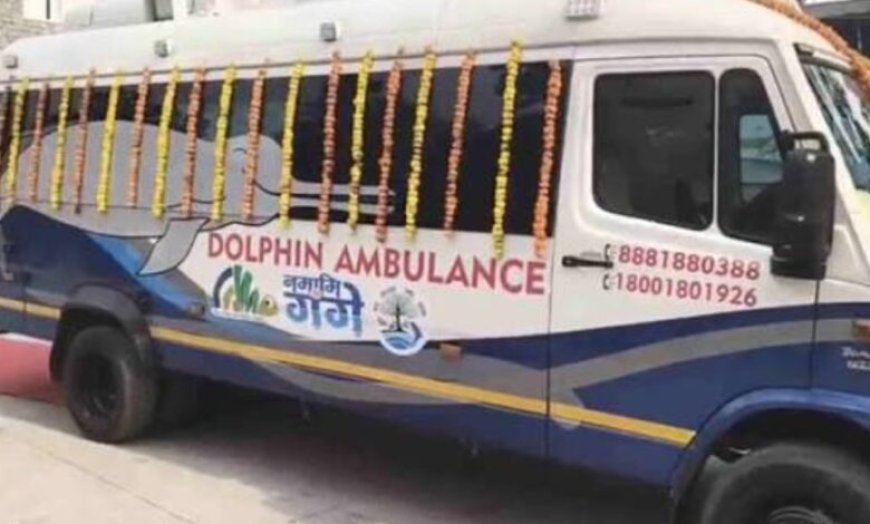 गंगा में डॉल्फिन के लिए शुरू हुई ‘डॉल्फिन एंबुलेंस’ सेवा